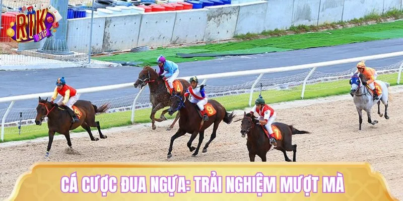 Cá cược đua ngựa thu hút tín đồ tốc độ