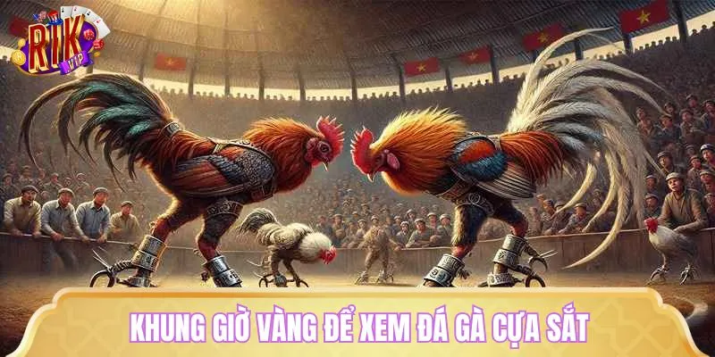 Người chơi nên đặt cược đá gà cựa sắt vào khung giờ vàng